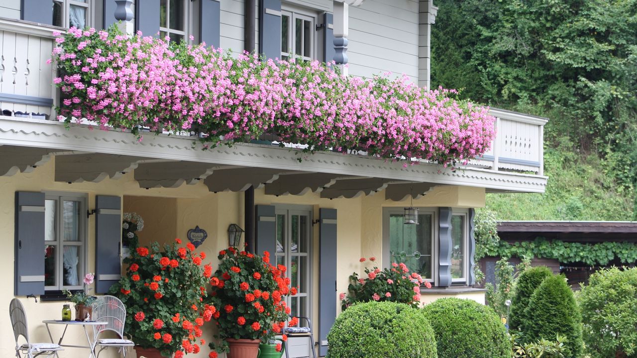 Blumenpracht Blumenpracht